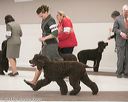 20140301-msda-0445