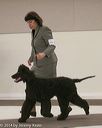 20140301-msda-0457