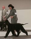 20140301-msda-0459