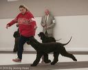 20140301-msda-0464