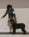 20140301-msda-0477