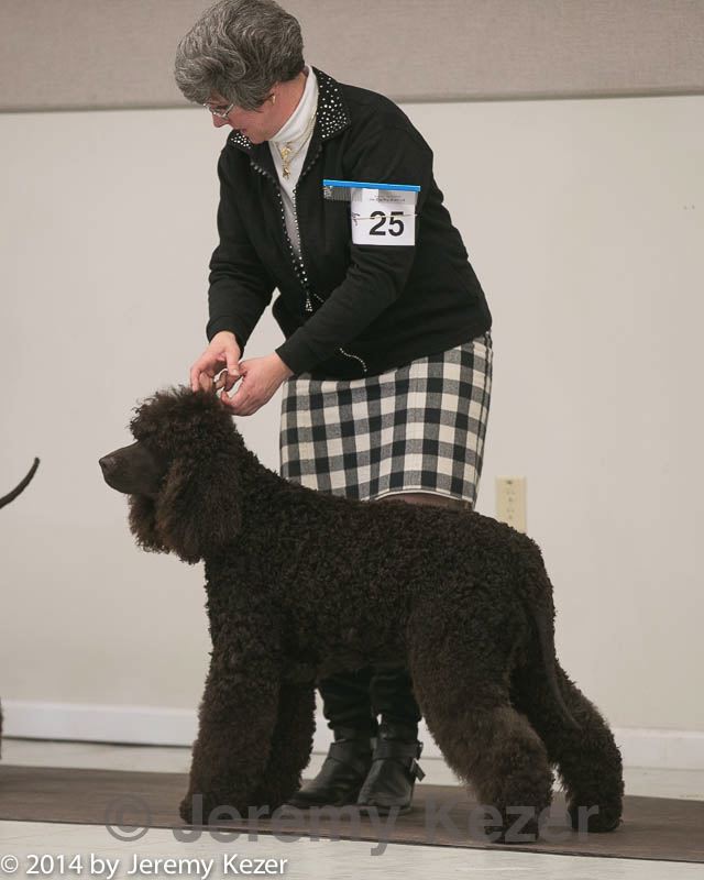 20140301-msda-0369.jpg