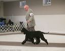 20140301-msda-0237