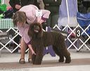 20140301-msda-0269