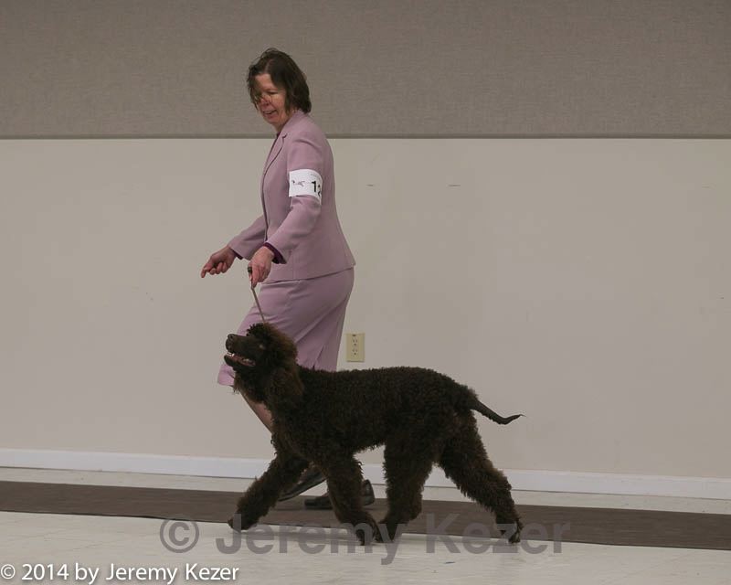 20140301-msda-0257.jpg
