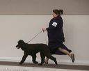 20140301-msda-0276