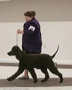 20140301-msda-0295