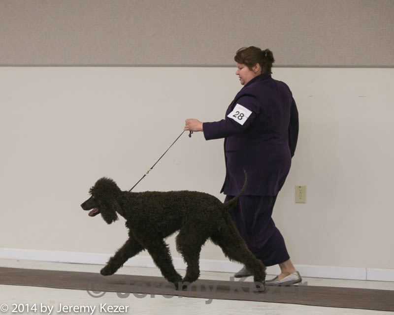 20140301-msda-0278.jpg