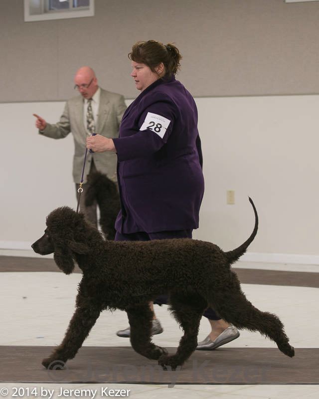 20140301-msda-0300.jpg