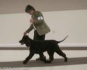 20140301-msda-0312
