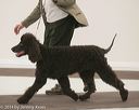 20140301-msda-0320