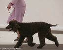 20140301-msda-0334
