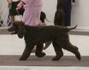 20140301-msda-0337