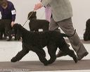 20140301-msda-0349