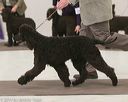 20140301-msda-0351