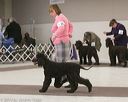 20140301-msda-0356