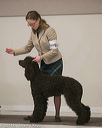 20140301-msda-0363