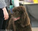 20140301-msda-0135