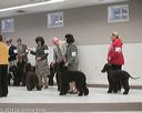 20140301-msda-0377