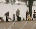 20140301-msda-0493