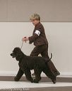 20140301-msda-0141