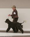 20140301-msda-0143