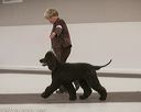 20140301-msda-0156