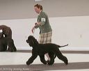 20140301-msda-0165