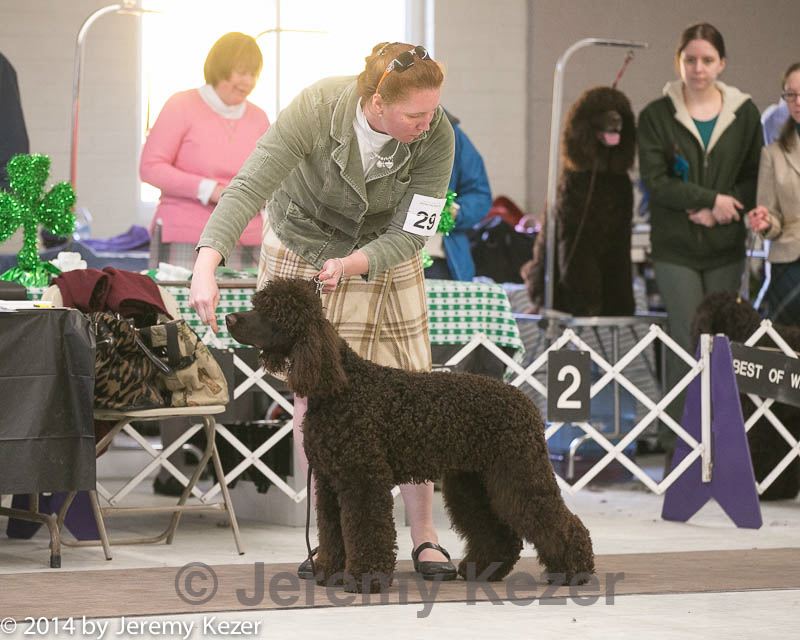 20140301-msda-0161.jpg