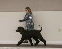 20140301-msda-0202