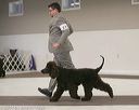 20140301-msda-0212