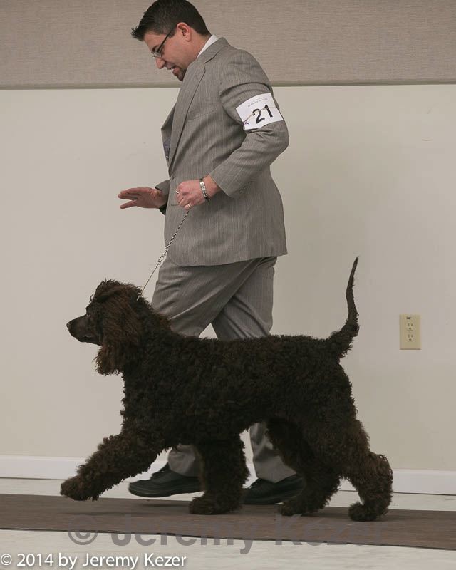 20140301-msda-0213.jpg