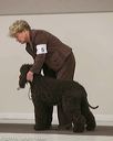 20140301-msda-0219