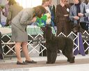 20140301-msda-0105