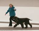 20140301-msda-0108