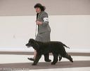 20140301-msda-0121