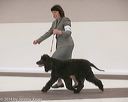 20140301-msda-0123