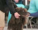 20140301-msda-0038