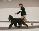 20140301-msda-0047
