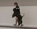 20140301-msda-0053