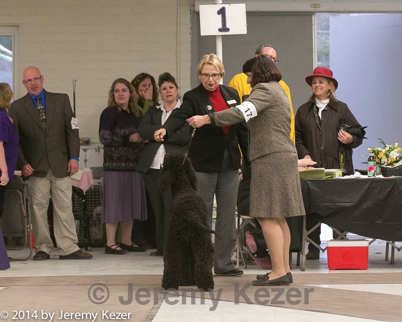 20140302-msda-0258.jpg