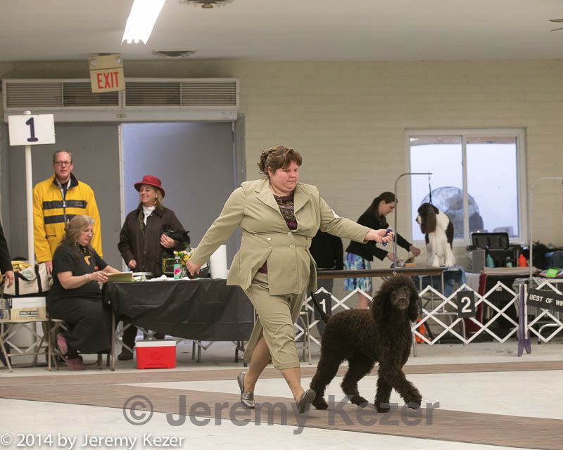 20140302-msda-0259.jpg