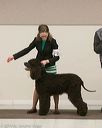 20140302-msda-0146