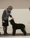 20140302-msda-0147