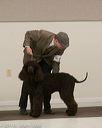 20140302-msda-0148
