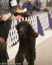 20140302-msda-0172