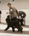 20140302-msda-0178