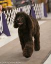 20140302-msda-0185
