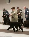 20140302-msda-0238