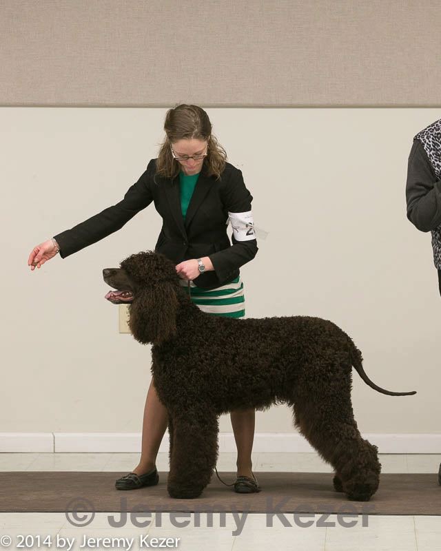 20140302-msda-0146.jpg